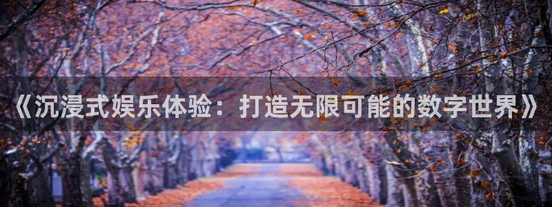 NG大舞台：《沉浸式娱乐体验：打造无限可能的数字世界》
