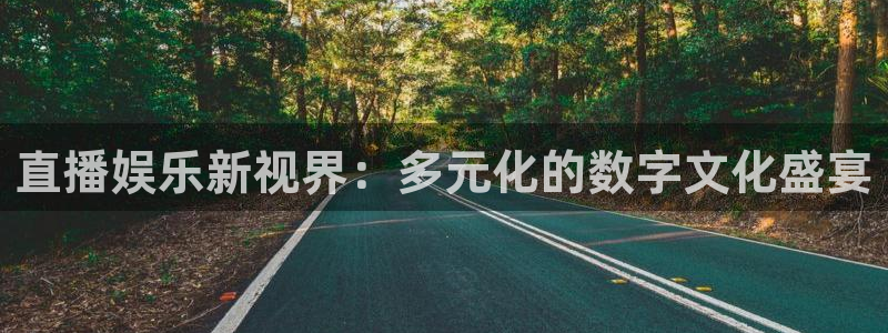NG大舞台：直播娱乐新视界：多元化的数字文化盛宴
