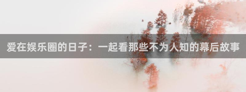 NG大舞台：爱在娱乐圈的日子：一起看那些不为人知的幕后故事