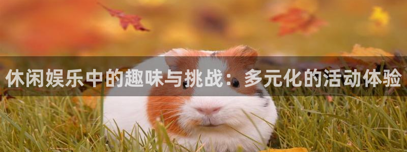 南宫大舞台官网入口：休闲娱乐中的趣味与挑战：多元化的活动体验